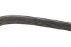 Ремінь генератора Suzuki Baleno 1.8 96-02 DAYCO 5DPK1550 (фото 2)