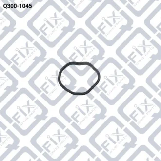 ПРОКЛАДАННЯ КЛАП КРИШКИ (КІЛЬЦЕ) Q-fix Q300-1045