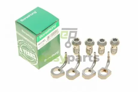 Форсунка масляна + болт VW Passat 1.8/2.0TSI 05-14 (OE VAG) BORSEHUNG B11161