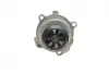 Комплект ГРМ + помпа Audi A3/A4/Skoda Octavia/WV Caddy III/Golf IV/V/Passat/Touran 1.6 95- (23x138z) BOSCH 1 987 946 391 (фото 6)