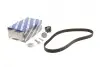 Комплект ГРМ Renault Kangoo/Megane II/III 1.5dCi 01-(123x27), K9K 836/837 BOSCH 1987946672 (фото 1)