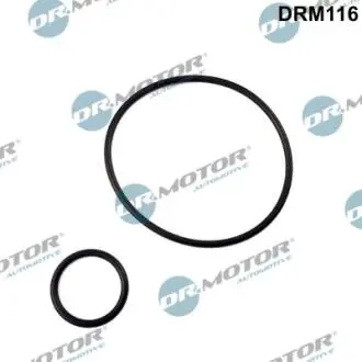 Прокладка колектора 2 шт DR MOTOR DRM116