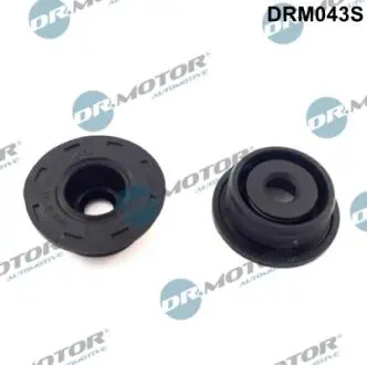 Сальник, к-т 2 елементи DR MOTOR DRM043S