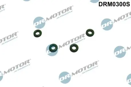 К-т ущiльнюючих кiлець форсунки, 4шт DR MOTOR DRM0300S