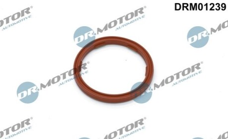 Ущiльнююче кiльце DR MOTOR DRM01239