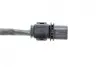 Лямбда зонд Citroen Jumper/Peugeot Boxer 3.0HDi 06- BOSCH 0281004821 (фото 13)