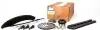 Комплект ГРМ (ланцюг+натягувач+шестерня)) Master/Movano 2.3 dCi 10- RENAULT / DACIA 130C11863R (фото 8)
