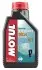 Масло для 4-х тактних двигунів Technosynthese д/лод.мотор MOTUL 852111 / 106453 (фото 1)