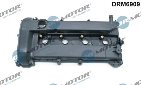 Кришка головки цилiндра Ford Focus II/Mondeo IV 1.8/2.0 06-15 DR MOTOR DRM6909