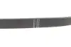 Ремінь генератора Fiat Croma 2.4D 05- (5PK595) HUTCHINSON 595 SK 5 (фото 5)