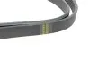 Ремінь генератора Hyundai Genesis 2.0T 12-14 (6PK2335) HUTCHINSON 2335 K 6 (фото 3)