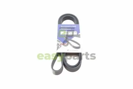 Ремінь генератора Renault Megane I/Ford Transit 2.0 94-00 (6PK1650) HUTCHINSON 1650 K 6