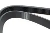 Ремінь генератора Fiat Scudo/Citroen Berlingo/VW Golf IV 1.8/1.9TDI 97- (6PK1660) HUTCHINSON 1660 K 6 (фото 2)