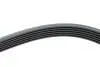 Ремінь генератора VW LT 2.8TDI 96KW/Ford Transit 2.0DI 00-14 (6PK1642) HUTCHINSON 1642 K 6 (фото 4)