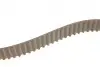 Комплект ГРМ + помпа Audi A3/VW Caddy III/VW T5 1.4-2.0 TDI 03- (30x120z) BOSCH 1987946398 (фото 19)