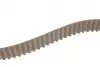 Комплект ГРМ + помпа Audi A3/VW Caddy III/VW T5 1.4-2.0 TDI 03- (30x120z) BOSCH 1987946398 (фото 10)