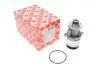 Помпа води BMW 3/5/Z3 316i/316g/316Ci/318i/318is/318ti/518i/518g/1.8i/1.9i 89-03, M42/M43/M44 FEBI BILSTEIN 01296 (фото 1)