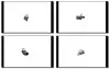 Датчик ABS зад. Ford C-MAX II, FOCUS III, GRAND C-MAX, KUGA II, TOURNEO CONNECT, TRANSIT CONNECT 1.0-Electric 07.10- GH-Parts GH-712551 (фото 1)