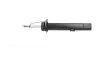 Амортизатор (передній) BMW 1 (E81/E82/E87) 03-13 (L) N43/N45/N47/N52 KAVO PARTS SSA-10279 (фото 4)