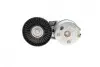 Натяжник ременя генератора Land Rover Discovery/Range Rover 2.7/3.0 04- INA 534 0668 10 (фото 4)