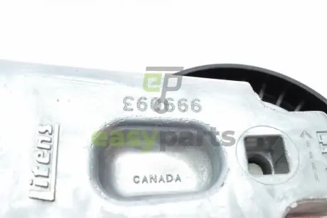 Натяжник ременя генератора Land Rover Discovery/Range Rover 2.7/3.0 04- INA 534 0668 10