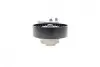 Натяжник ременя генератора Land Rover Discovery/Range Rover 2.7/3.0 04- INA 534 0668 10 (фото 5)