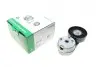 Натяжник ременя генератора Land Rover Discovery/Range Rover 2.7/3.0 04- INA 534 0668 10 (фото 9)