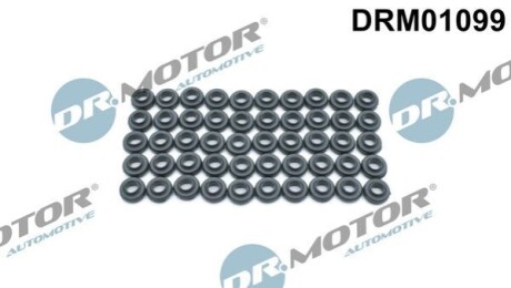 К-т ущiльнюючих кiлець, 50шт. DR MOTOR DRM01099 (фото 1)