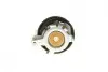 Комплект ГРМ Ford B-Max/C-Max/Fiesta/Mondeo 1.0 Ecoboost 12- (16x116z) HEPU 20-2102 (фото 2)
