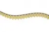 Комплект ГРМ Land Rover Discovery/Range Rover 2.7D 04- (82zx20) HEPU 20-2079 (фото 13)