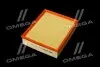 Фильтр воздушный ExtraClean Professional RIDER REC130249 (фото 2)