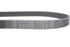 Комплект ГРМ + помпа Fiat Doblo/Palio/Panda/Punto/Stilo/Tipo/Opel Combo 1.4i 10- (22x124z) BOSCH 1987946387 (фото 9)