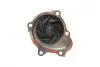 Комплект ГРМ + помпа Opel Astra G/Combo/Corsa C 1.7DI/DTI 00- (25x131z) INA 530 0338 30 (фото 34)