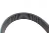Комплект ременя генератора Audi A4/A6/Q5/Q7 3.0TFSI/VW Touareg 3.0 V6 TSI Hybrid 10-18 (7PK1272) INA 529 0245 10 (фото 23)