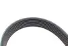 Комплект ременя генератора Audi A4/A6/Q5/Q7 3.0TFSI/VW Touareg 3.0 V6 TSI Hybrid 10-18 (7PK1272) INA 529 0245 10 (фото 9)
