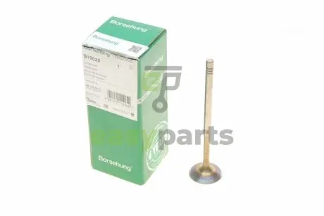 Клапан (впуск) Audi A4/A6/Skoda Octavia/Superb/VW Golf/Passat 1.8-3.0 -10 (OE VAG) BORSEHUNG B19025
