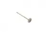Клапан (впуск) Audi A4/A6/Skoda Octavia/Superb/VW Golf/Passat 1.8-3.0 -10 (OE VAG) BORSEHUNG B19025 (фото 6)