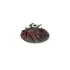 Компресорне колесо турбіни TOYOTA CT VNT JRONE 1200-016-219 (фото 1)