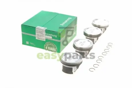 Поршень Audi A3/A4/VW Passat/Caddy 1.6 96-10 (к-кт 4шт.) BORSEHUNG B16955