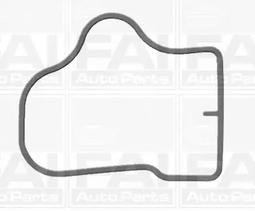 Прокладка IN кол. Chevrolet Aveo 1.2-1.4 11-/Opel Corsa D 1.2 10- FAI IM1631