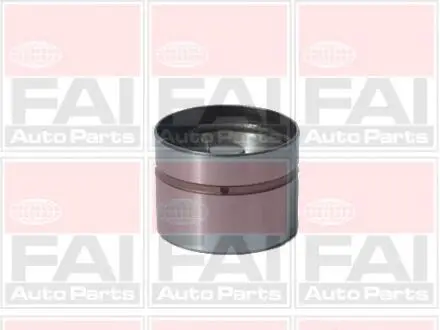Гідрокомпенсатор Bmw/MB/Kia Bmw M50 95-/M52 /MB OM611 FAI BFS105
