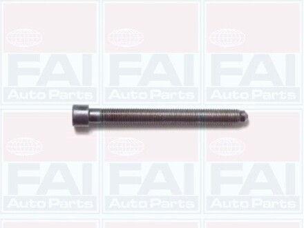 К-кт болтов Г/Б (10шт) 1.8 VW Passat B5 /Audi A4, A6 FAI B1006