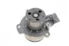 Помпа води VW Caddy IV/VW Golf/T6 1.6-2.0TDI 05/15- (знято з виробництва) SKF VKPC 81278-1 (фото 4)