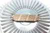 Муфта вентилятора BMW 3 (E36/E46)/ 5 (E34/E39)/ 7 (E38)/ X5 (E53)/ Z3 (E36) 2.0-3.2 88-07 M50/M52/M54/S50 TRUCKTEC 08.19.002 (фото 2)