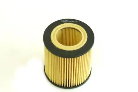 Фільтр масляний BMW X5 (E70) 35 iX (10-) (SH 4032 P) SCT SCT / MANNOL SH4032P