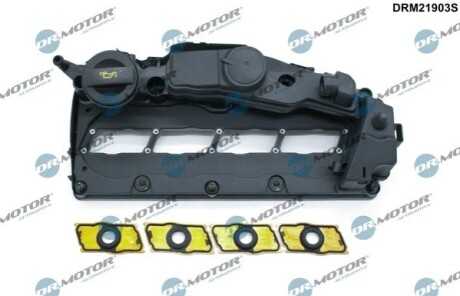 Кришка головки цилiндра, к-т Audi A4/A6/VW Passat/Golf 2.0 TDI 08- DR MOTOR DRM21903S