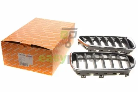 Решітка радіатора BMW X3 (F25) 09-17 (к-кт) AUTOTECHTEILE 706 5135