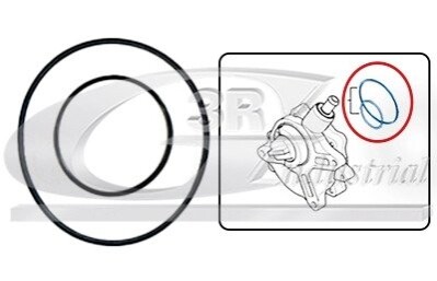 Набір прокладок вакуумного насоса BMW 1 (E81), 1 (E82), 1 (E87), 1 (E88), 3 (E46), 3 (E90), 3 (E91), 3 (E92), 3 (E93), 5 (E60), X1 (E84), X3 (E83), Z4 (E85) 1.8/2.0 12.00-06.15 3RG 74100 (фото 1)