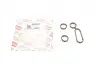 Прокладка радіатора масляного VW Caddy III/Crafter/T4/T5 2.0TDI BOGAP A1426101 (фото 1)