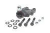 Опора кульова (передня/знизу) Kia Sorento I 02-11 FEBI BILSTEIN 41689 (фото 1)
